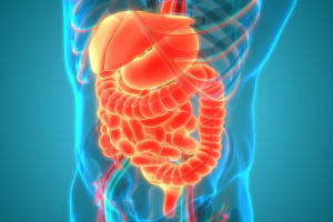 Gastrointestinální komorbidity spojené s atopickou dermatitidou – přehled